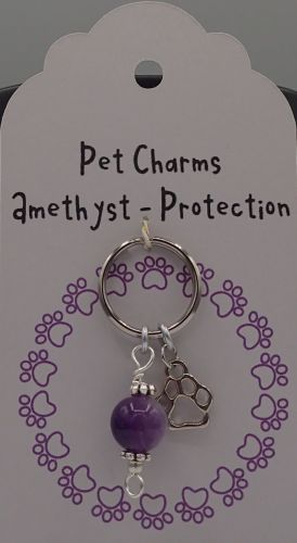 Collar Charms - Protection