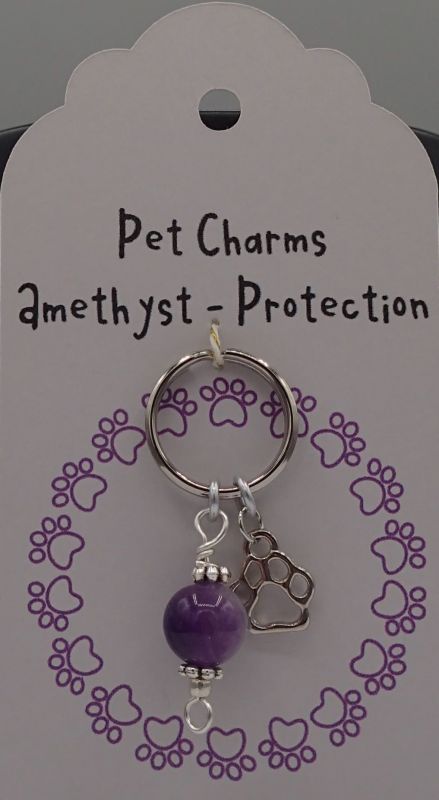 Pet
