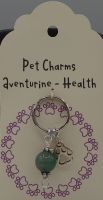 Collar Charms - Health
