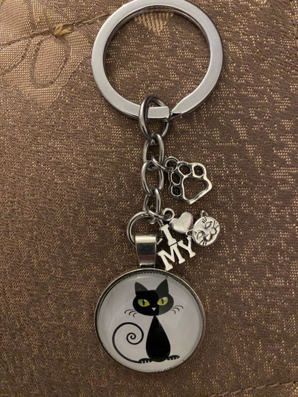 Cats